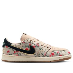 Air Jordan 1 Low 5